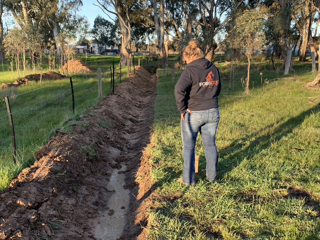 New paddock drainage